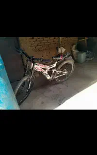 دوچرخه