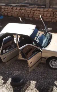 پژو405