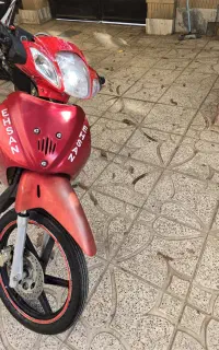 احسان ۱۲۵ گوجه ای