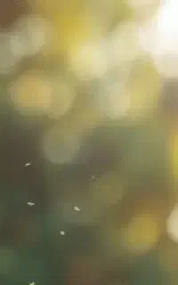 یه سیم کارت همراه اول