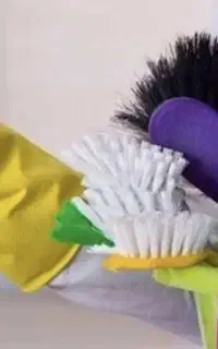 خانم جهت امورمنزل