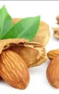انواع بادام به قیمت تجاری درب منزل شما نقدی