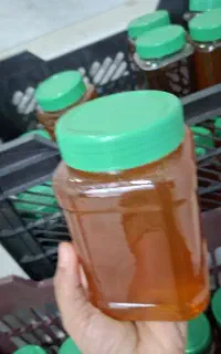 عسل جاشیر و  گون