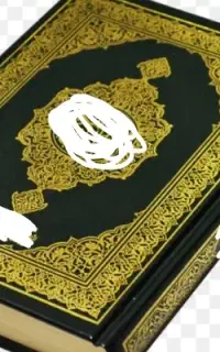مجله