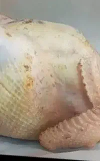 مرغ درشت پاک شده  برای غذای سگ و گربه گوشت خالص