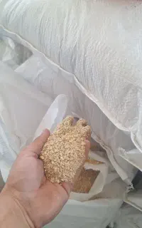 دان  تخم گذار مخصوص تخم گذار