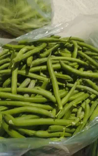 لوبیا سبز