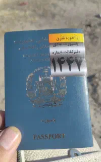 پیدا شده
