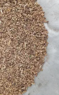 بذر چقدر لبو