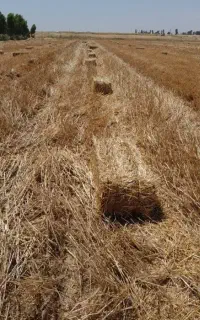 کاه پرس آبی