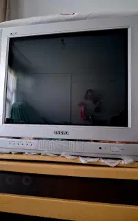 تلوزیون