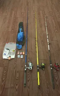 لنسرهای ماهیگیری