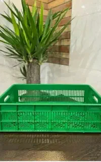 سبد شیر و ماست