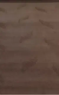 موکت نونو