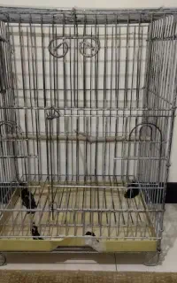 قفس پرنده