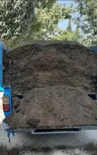 کودگاوی گوسفندی پوسیده نرم تحویل درمحل