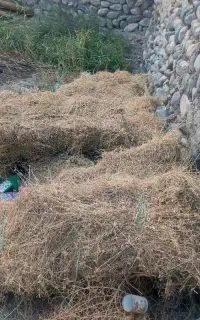 بیده قالبی دستی