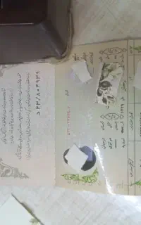 شناسنامه پیدا شده