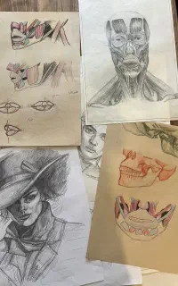 آموزش جامع طراحی صفر تا صد