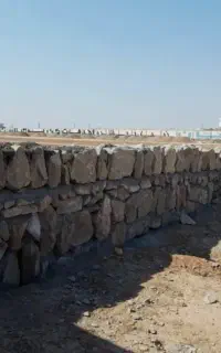 نیاز به  بنّا