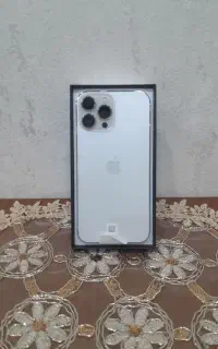13pro