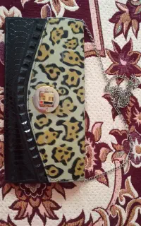 کیف مجلسی