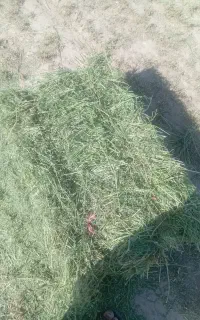 پرس یونجه انباری