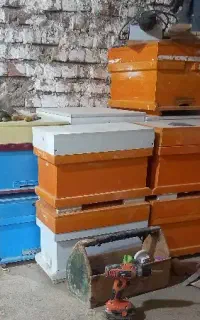 کندوی زنبور عسل