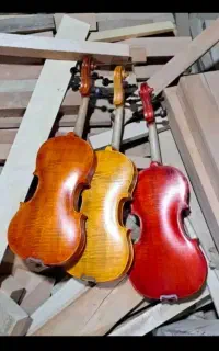 ویولن آبـنــsteudentـوس VIOLON