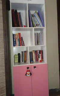 کتابخانه چوبی دخترانه