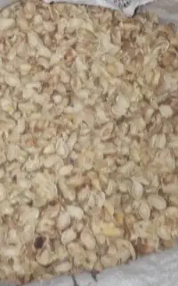 خریدار پوست پسته