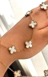 ست ونکلیف استیل