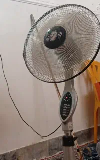 پانکه‌پایه‌دار