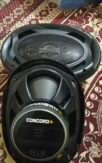 باند