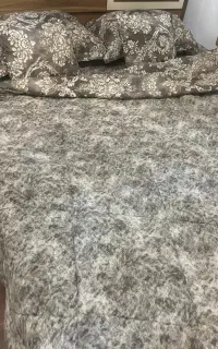 روتختی نو نو