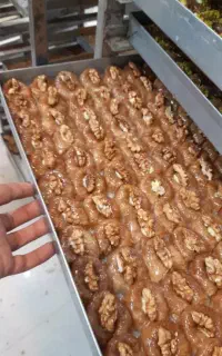 باقلوای تازه و پر مغز باصفا پخت روز