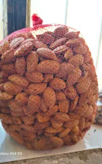 بادام شیرین