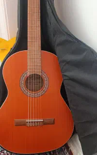گیتار هافنر Ac