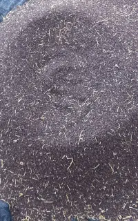 سبنج یا اسپنج تمیز درجه 1