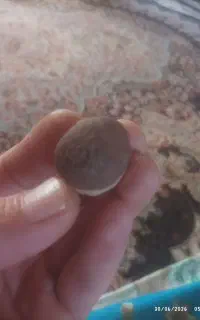 سلام شهاب سنگ  بدون شناسنامه  قیمت مناسب