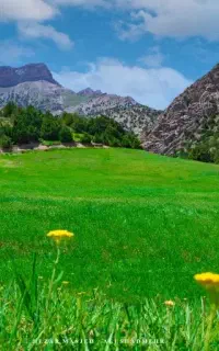 3 روزه هزار مسجد
