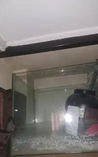 اکواریوم و پمپ اب و اکسیژن