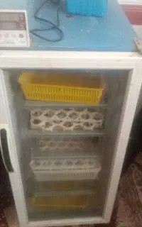 دستگاه جوجه کشی