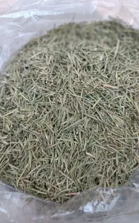 رز ماری تمیز