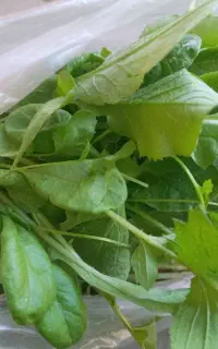 یونجه درجه یک بدون علف هرز