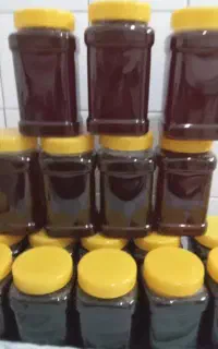 عسل گشنیز
