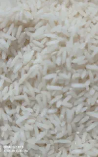 برنج هاشمی طارم