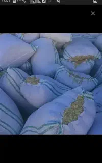 کاه سبز سوفال تخم کدو ضایعات بوجاری د ام