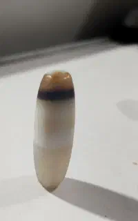 مهره سلیمانی باستانی