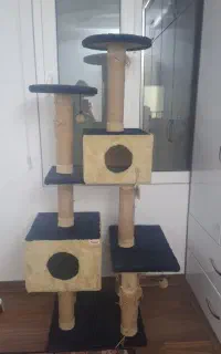 اسکچر گربه